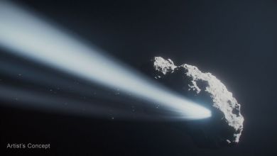 Hubble Space Telescope watches doomed comet reverse its spin Hubble Space Telescope watches doomed comet reverse its spin