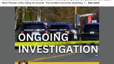 Investigation underway after dog attacks child on Puyallup street Investigation underway after dog attacks child on Puyallup street