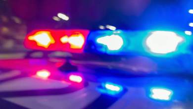 Collision with SUV on State Route 7 in Parkland kills pedestrian Collision with SUV on State Route 7 in Parkland kills pedestrian