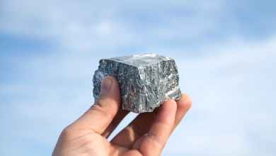 Zinc is a metal essential to life – scientists have discovered a protein that helps keep cells alive when zinc levels are low Zinc is a metal essential to life – scientists have discovered a protein that helps keep cells alive when zinc levels are low