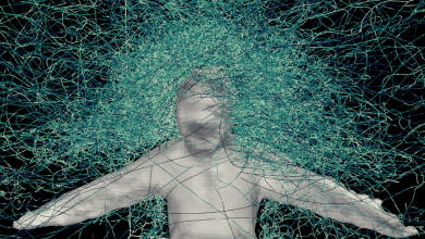 Hundreds of hungry mosquitoes, a student volunteer and a mesh suit helped us figure out how these deadly insects reach their targets Hundreds of hungry mosquitoes, a student volunteer and a mesh suit helped us figure out how these deadly insects reach their targets