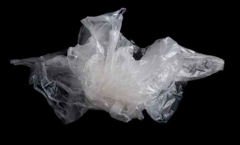 Researchers develop biodegradable, plant-based packaging from natural fibers – new research Researchers develop biodegradable, plant-based packaging from natural fibers – new research