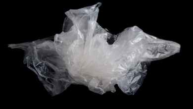 Researchers develop biodegradable, plant-based packaging from natural fibers – new research Researchers develop biodegradable, plant-based packaging from natural fibers – new research