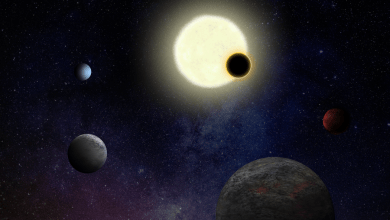 NASA’s Pandora telescope will study stars in detail to learn about the exoplanets orbiting them NASA’s Pandora telescope will study stars in detail to learn about the exoplanets orbiting them