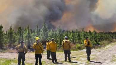 Why the Southeast is burning – extreme drought is only part of the reason Why the Southeast is burning – extreme drought is only part of the reason