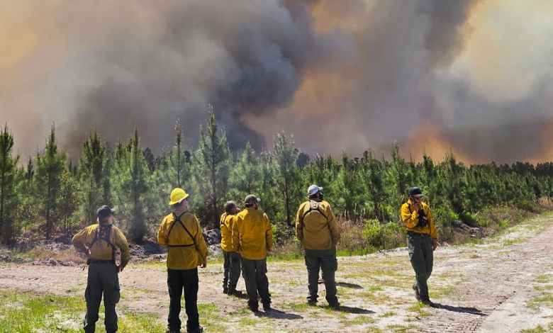 Why the Southeast is burning – extreme drought is only part of the reason Why the Southeast is burning – extreme drought is only part of the reason