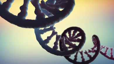 RNA is key to the dark matter of the genome − scientists are sequencing it to illuminate human health and disease RNA is key to the dark matter of the genome − scientists are sequencing it to illuminate human health and disease