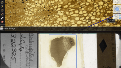 Galaxies of life are collecting dust in museums – digitizing microscope slides can uncover billions of fossils for natural history Galaxies of life are collecting dust in museums – digitizing microscope slides can uncover billions of fossils for natural history