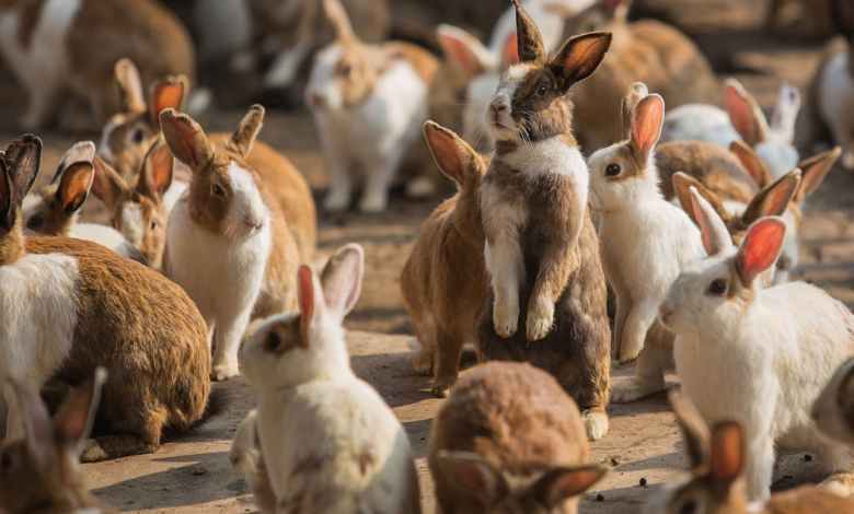 Pi gets all the fanfare, but other numbers also deserve their own math holidays Pi gets all the fanfare, but other numbers also deserve their own math holidays