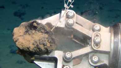 5 deep-sea sources of critical minerals essential to technology, and the fragile marine life at risk 5 deep-sea sources of critical minerals essential to technology, and the fragile marine life at risk