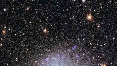 ‘Project Hail Mary’ explores unique forms of life in space – 5 essential reads on searching for aliens that look nothing like life on Earth ‘Project Hail Mary’ explores unique forms of life in space – 5 essential reads on searching for aliens that look nothing like life on Earth