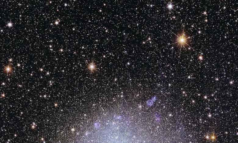 ‘Project Hail Mary’ explores unique forms of life in space – 5 essential reads on searching for aliens that look nothing like life on Earth ‘Project Hail Mary’ explores unique forms of life in space – 5 essential reads on searching for aliens that look nothing like life on Earth