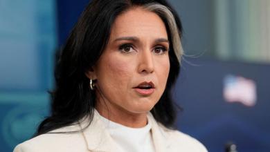 Tulsi Gabbard faces mounting questions over handling of intelligence intercept Tulsi Gabbard faces mounting questions over handling of intelligence intercept