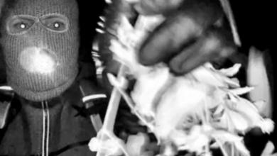 Person reportedly detained for questioning in Nancy Guthrie disappearance Person reportedly detained for questioning in Nancy Guthrie disappearance