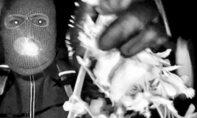 Person reportedly detained for questioning in Nancy Guthrie disappearance Person reportedly detained for questioning in Nancy Guthrie disappearance