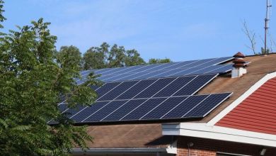 How To Reduce Your Carbon Footprint At Home How To Reduce Your Carbon Footprint At Home