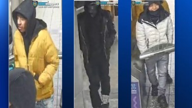 14-year-old boy stabbed in the shoulder during armed robbery in Flushing 14-year-old boy stabbed in the shoulder during armed robbery in Flushing