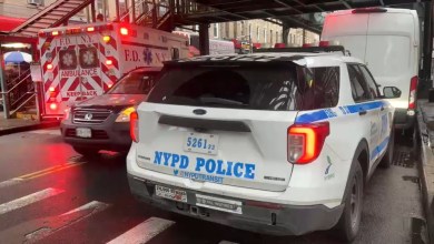 Woman stabbed man on board train in Queens Woman stabbed man on board train in Queens
