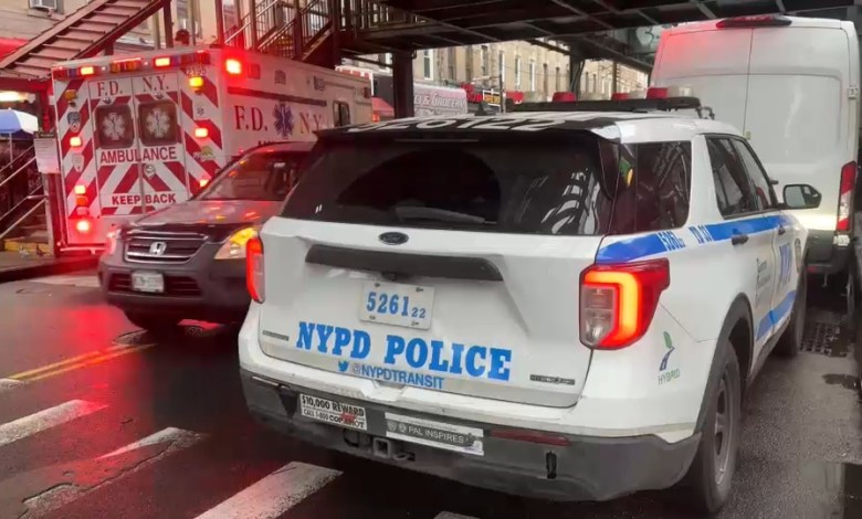 Woman stabbed man on board train in Queens Woman stabbed man on board train in Queens