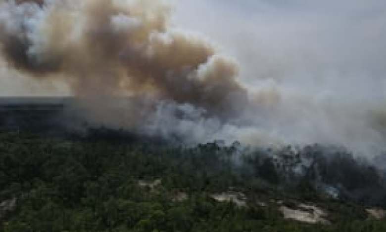 Experts warn embers can ignite homes miles away in unpredictable Florida wildfires Experts warn embers can ignite homes miles away in unpredictable Florida wildfires