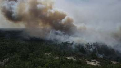 Experts warn embers can ignite homes miles away in unpredictable Florida wildfires Experts warn embers can ignite homes miles away in unpredictable Florida wildfires