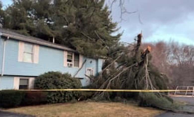 Trees crash down on homes in many Mass. communities as storm brings howling winds Trees crash down on homes in many Mass. communities as storm brings howling winds