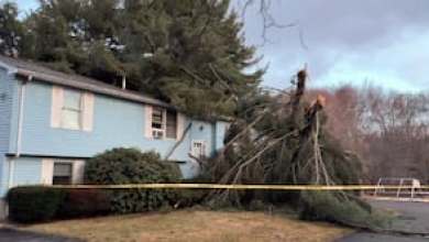 Trees crash down on homes in many Mass. communities as storm brings howling winds Trees crash down on homes in many Mass. communities as storm brings howling winds