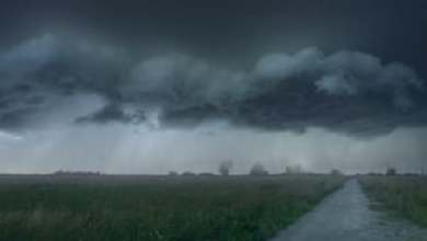 Weather whiplash and storms to impact our Easter weekend Weather whiplash and storms to impact our Easter weekend