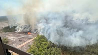 Georgia wildfires continue growing, Florida firefighter dies, how Hwy 82 fire started Georgia wildfires continue growing, Florida firefighter dies, how Hwy 82 fire started