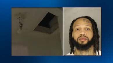 Fugitive found in attic of Pittsburgh home, sheriff says Fugitive found in attic of Pittsburgh home, sheriff says