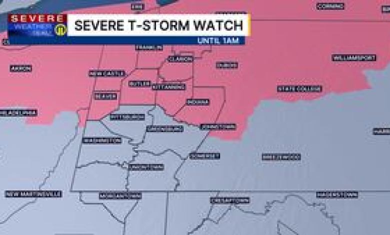 Multiple local counties under Severe Thunderstorm Watch Multiple local counties under Severe Thunderstorm Watch
