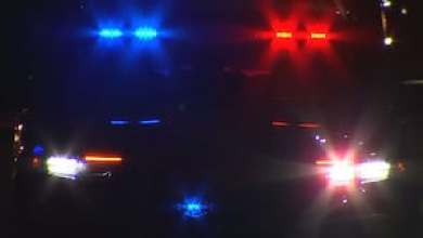 Woman accused of chasing down dog in Audi, killing it Woman accused of chasing down dog in Audi, killing it