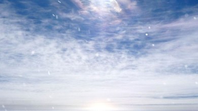 Starting to come out of the freezer this afternoon Starting to come out of the freezer this afternoon