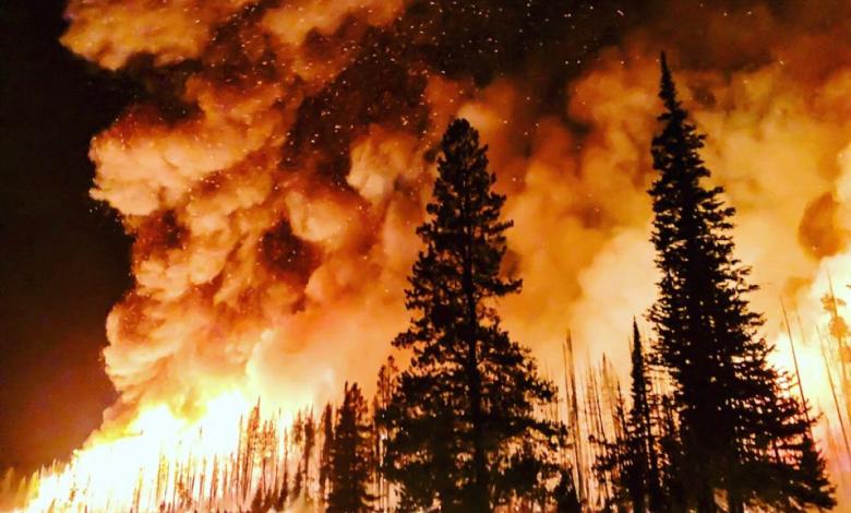 Scientists See Growing Risk of ‘Hothouse Earth’ as Warming Gains Pace Scientists See Growing Risk of ‘Hothouse Earth’ as Warming Gains Pace