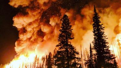 Scientists See Growing Risk of ‘Hothouse Earth’ as Warming Gains Pace Scientists See Growing Risk of ‘Hothouse Earth’ as Warming Gains Pace