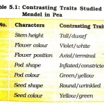 Why Did Gregor Mendel Choose to Use Purebred Plants in His Experiments? Why Did Gregor Mendel Choose to Use Purebred Plants in His Experiments?