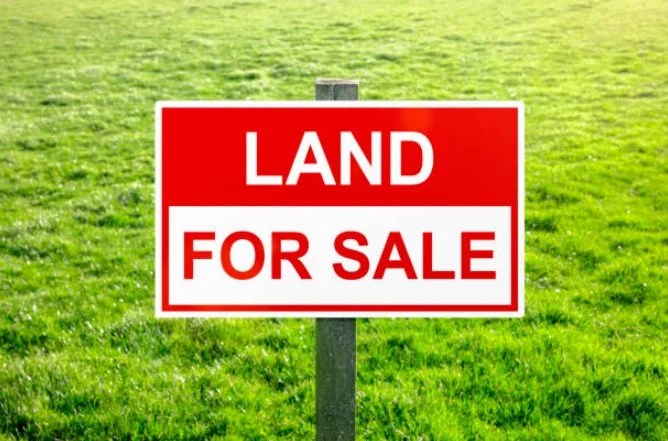 Land for Sale: A Comprehensive Guide to Buying, Investing, and Developing Land for Sale: A Comprehensive Guide to Buying, Investing, and Developing