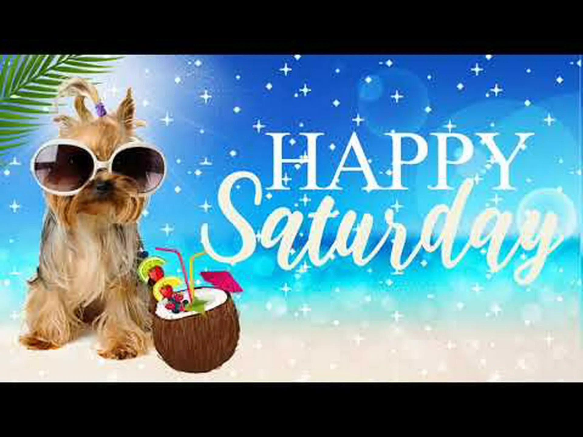 Good Morning Saturday Whatsapp Good Morning Saturday Whatsapp