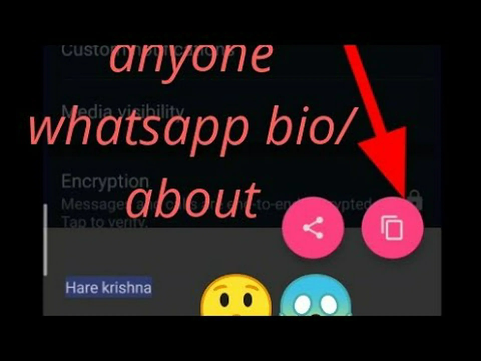Boyfriend biography for whatsapp to copy Boyfriend biography for whatsapp to copy