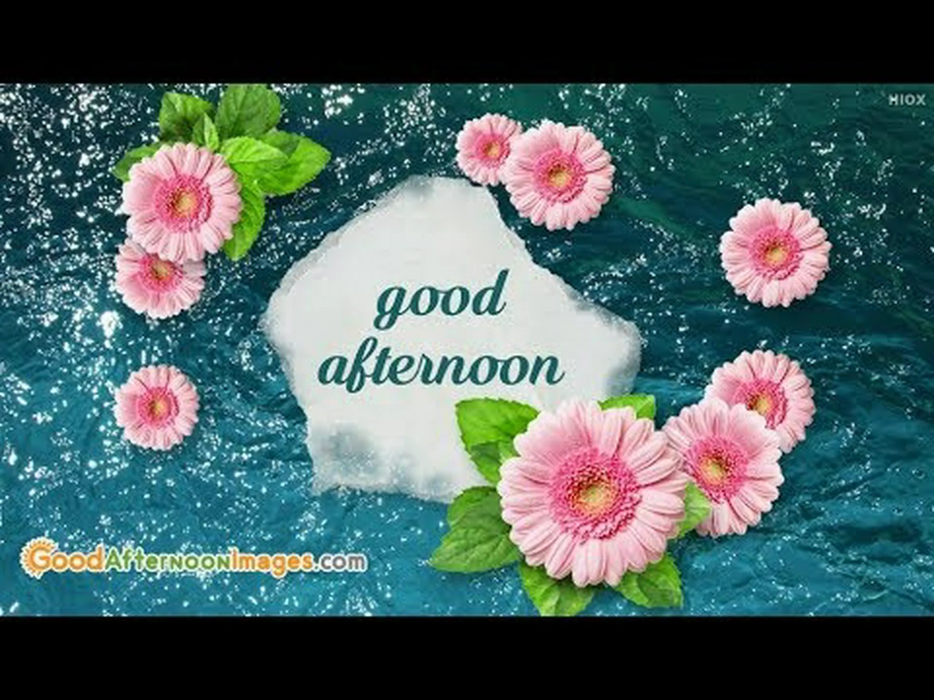 Free Good Afternoon Stickers for Whatsapp Free Good Afternoon Stickers for Whatsapp