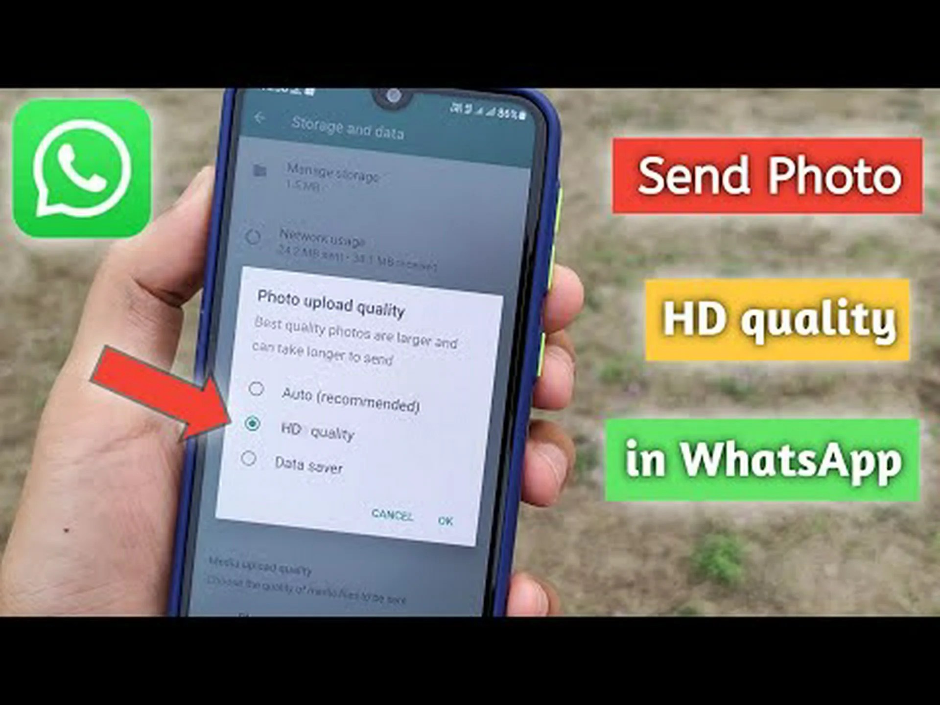 Graphics near me whatsapp Graphics near me whatsapp