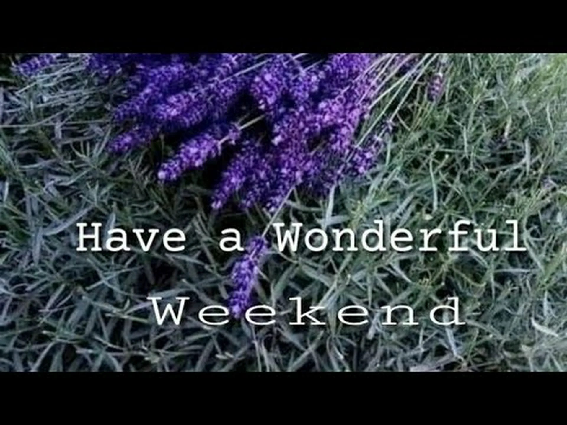 Good morning have a good weekend whatsapp Good morning have a good weekend whatsapp