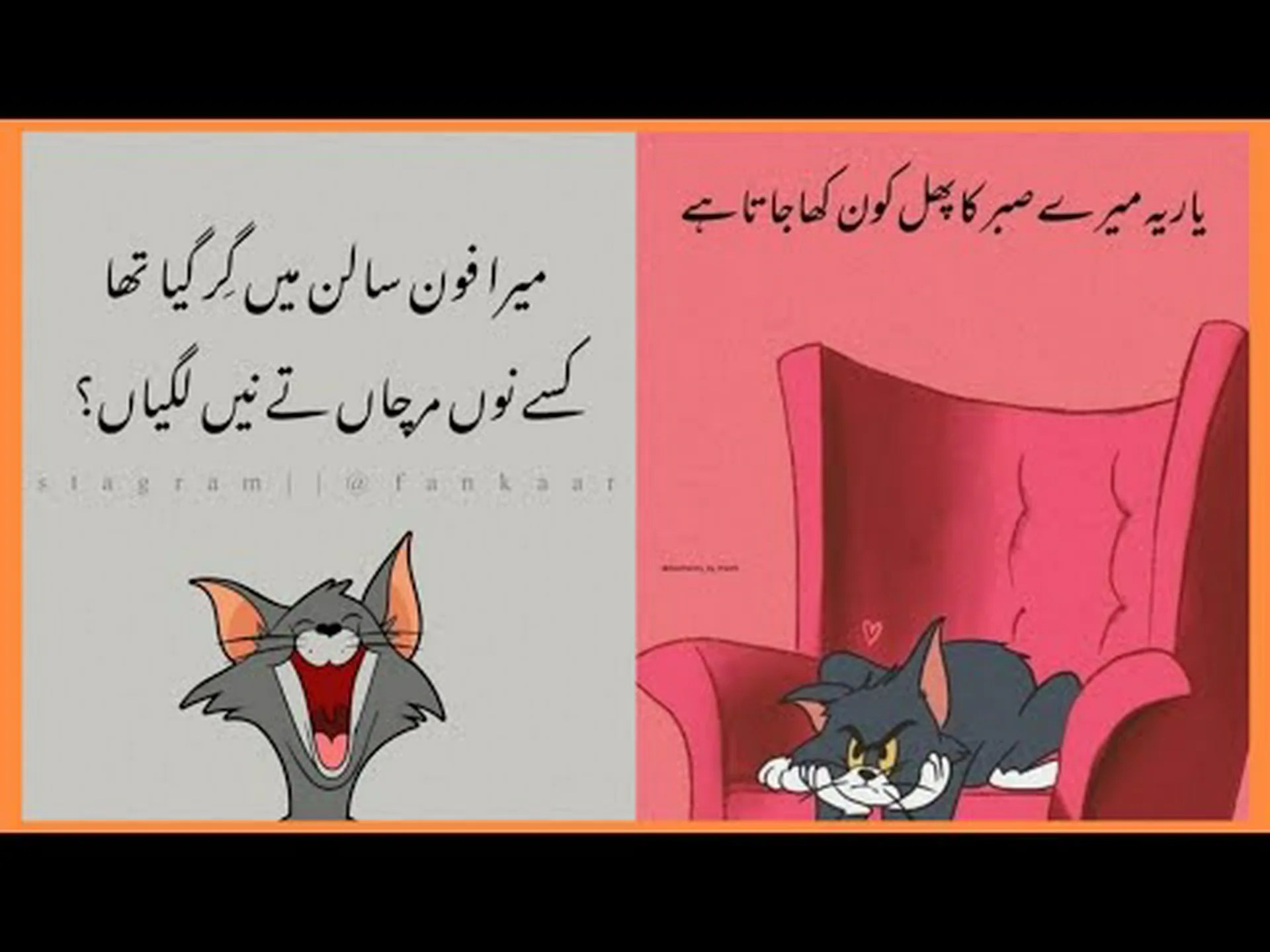 funny whatsapp image funny whatsapp image