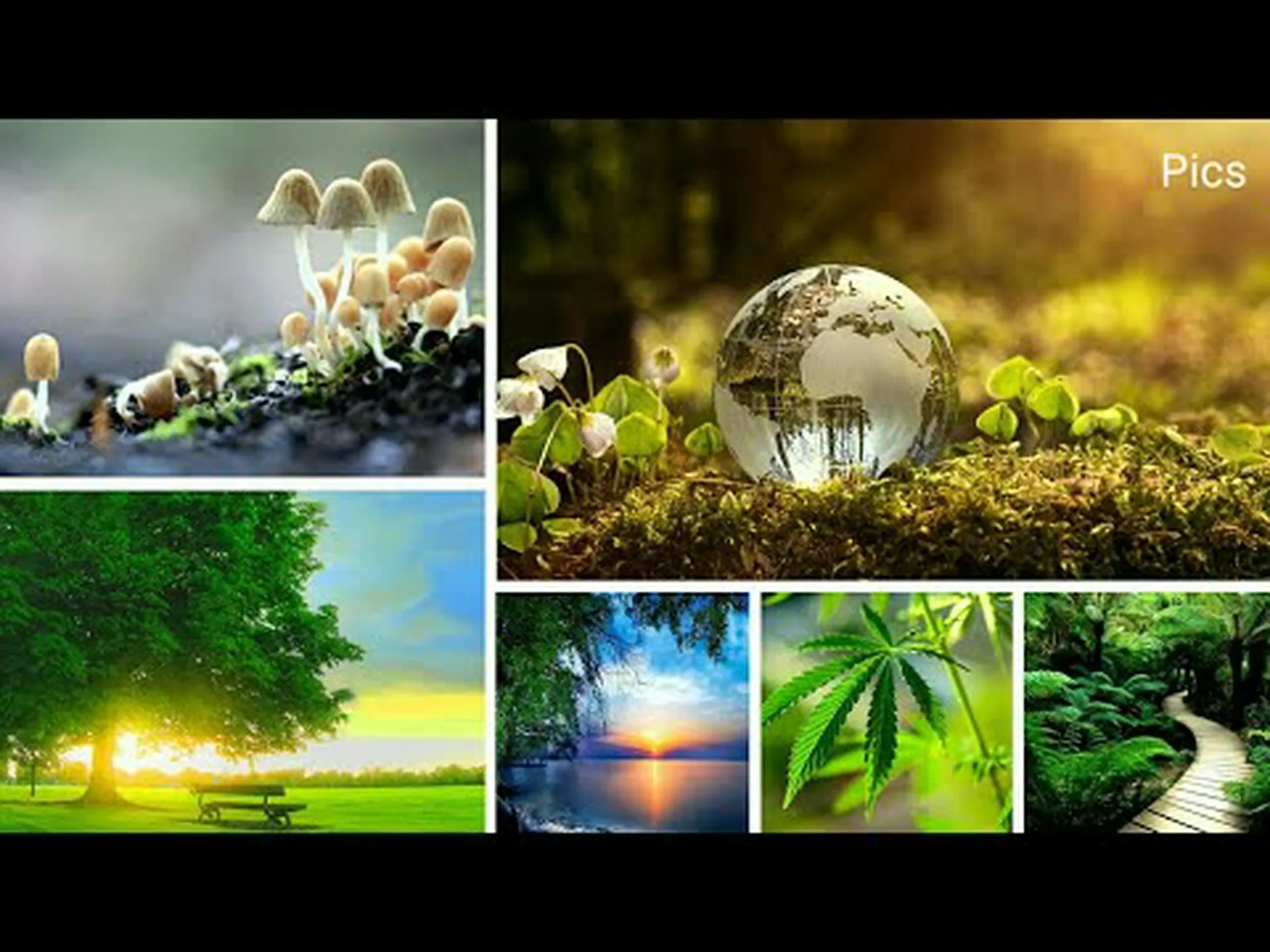 Beautiful photos for whatsapp profile Beautiful photos for whatsapp profile