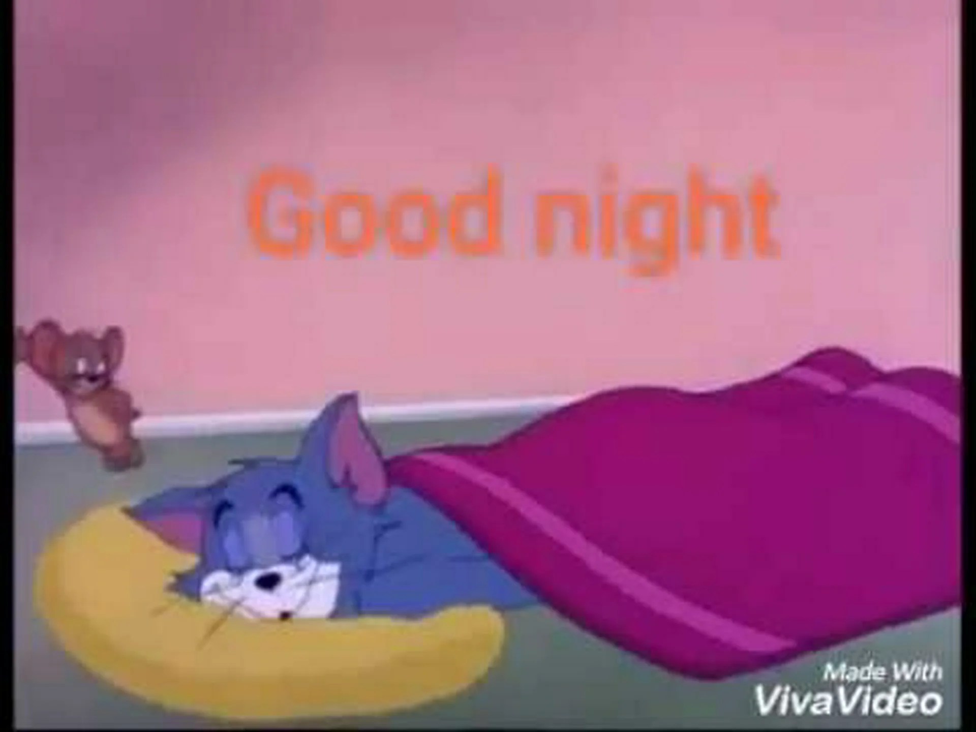 Good night funny whatsapp Good night funny whatsapp