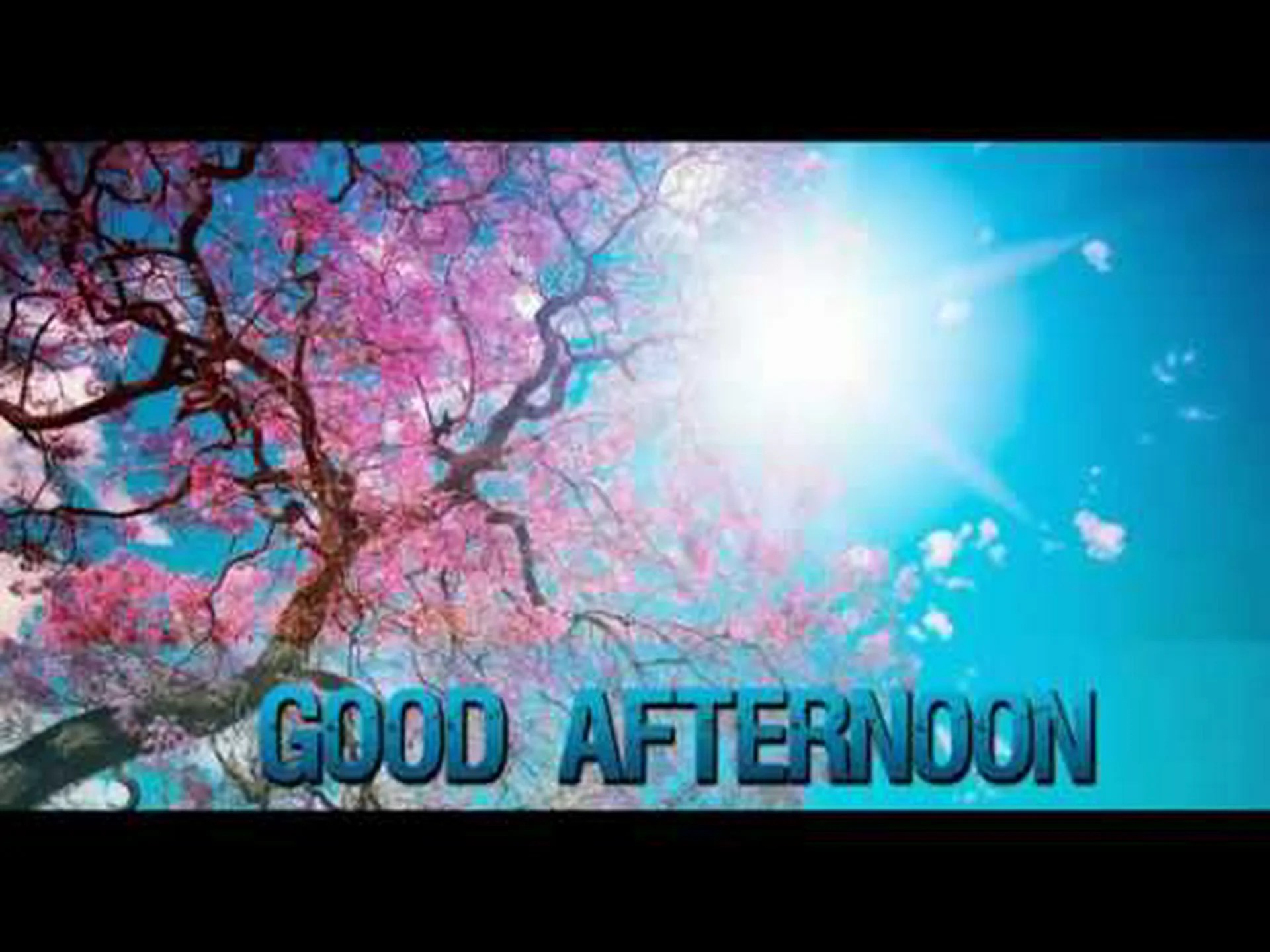 Good afternoon friend whatsapp Good afternoon friend whatsapp