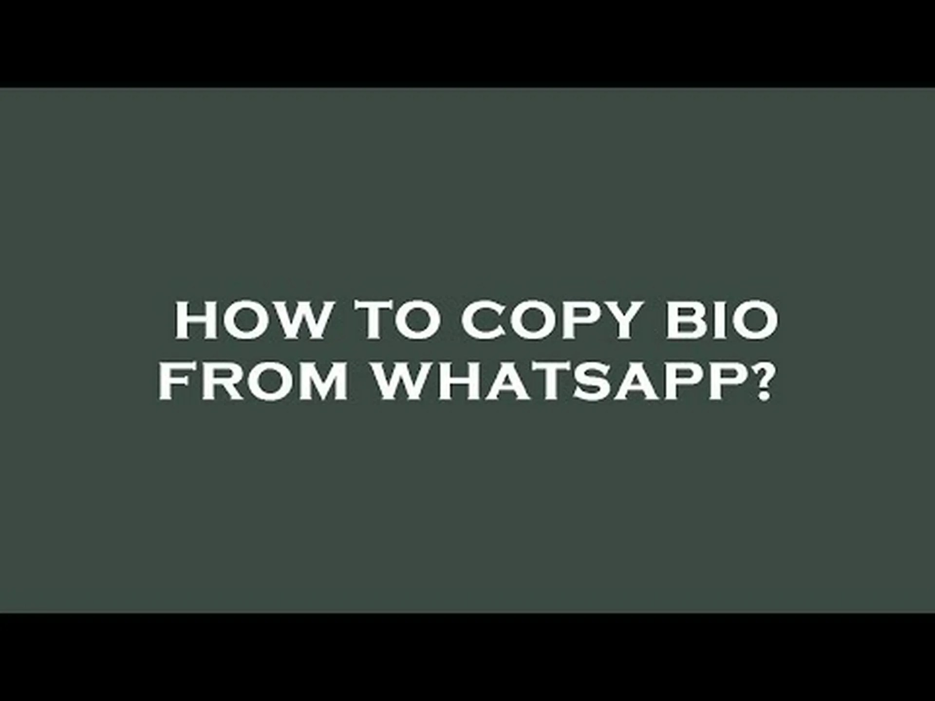 WhatsApp biography to copy WhatsApp biography to copy