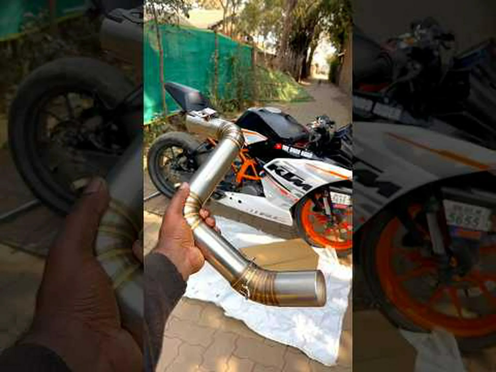 whatsapp ns green whatsapp ns green
