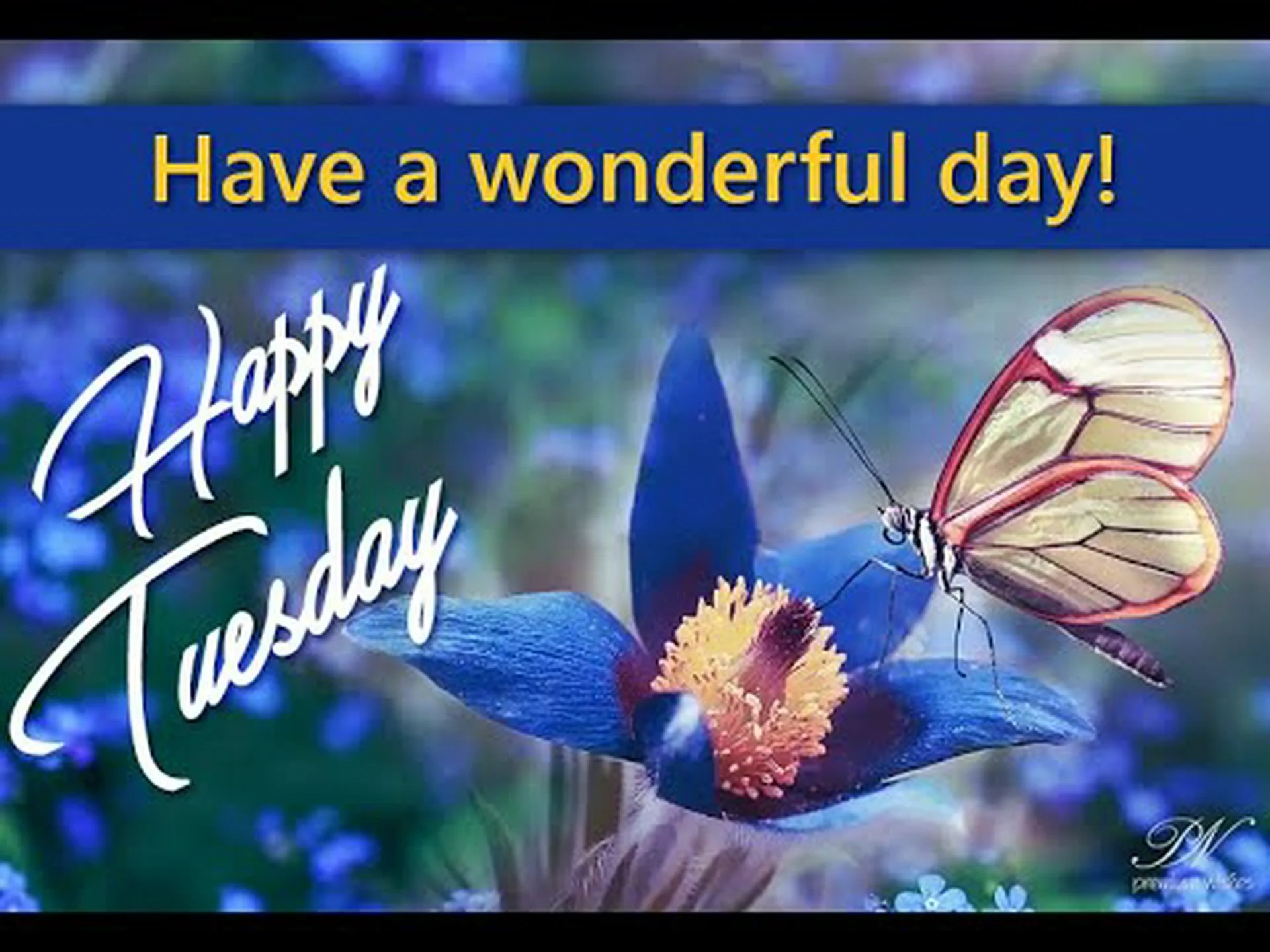 Happy Tuesday messages for WhatsApp Happy Tuesday messages for WhatsApp