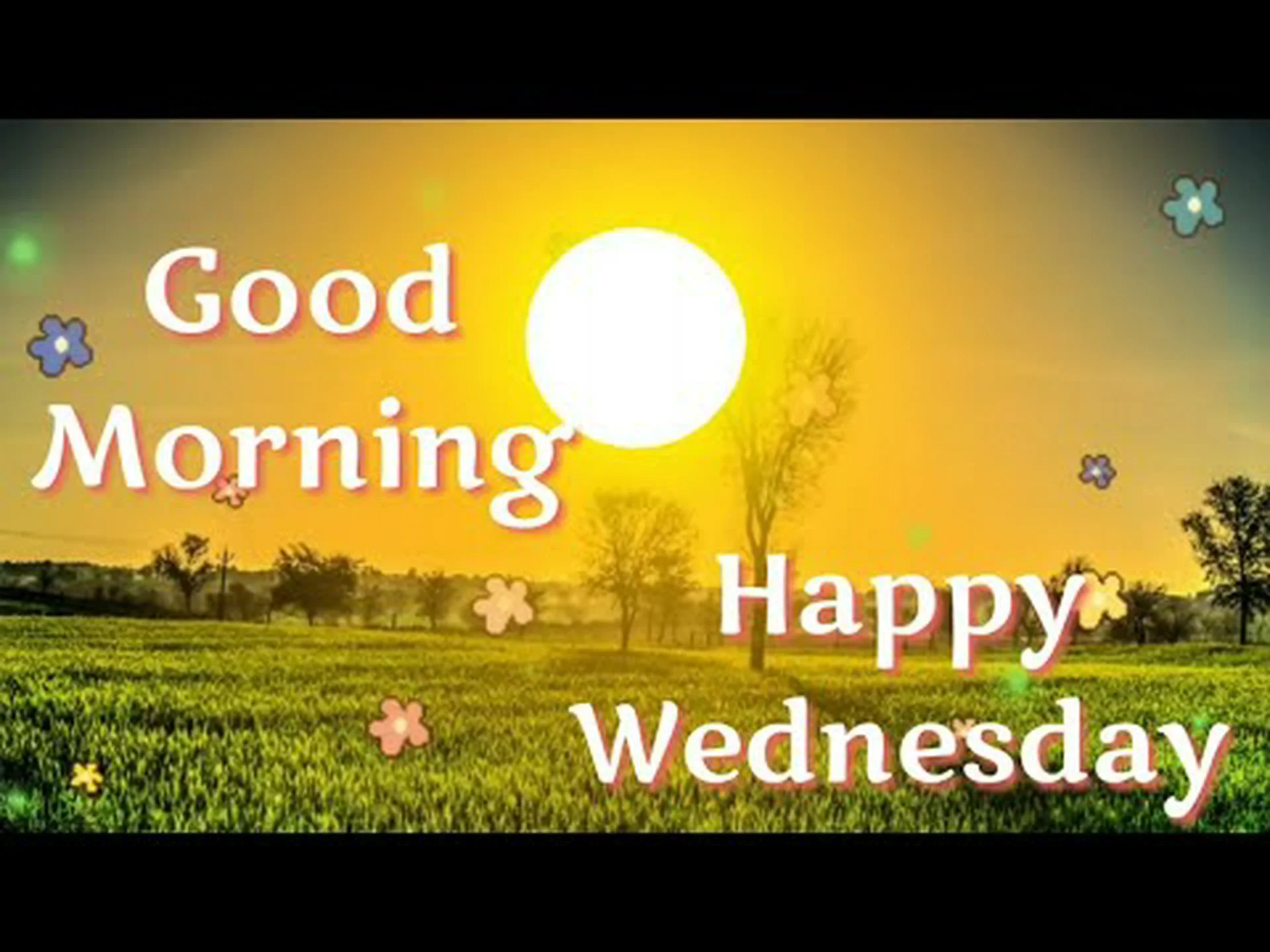 Good morning Wednesday for whatsapp Good morning Wednesday for whatsapp